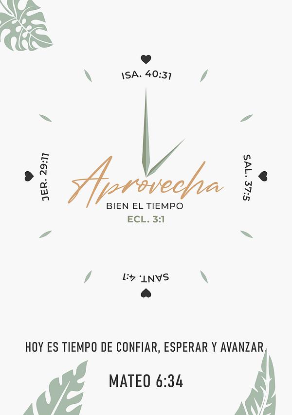 Aprovecha Bien El Tiempo